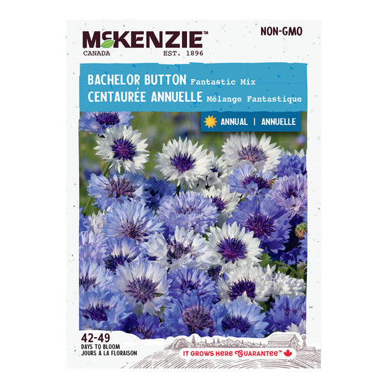 Bachelor Button, Fantastic Mixed Colors Seeds Centaurea cyanus