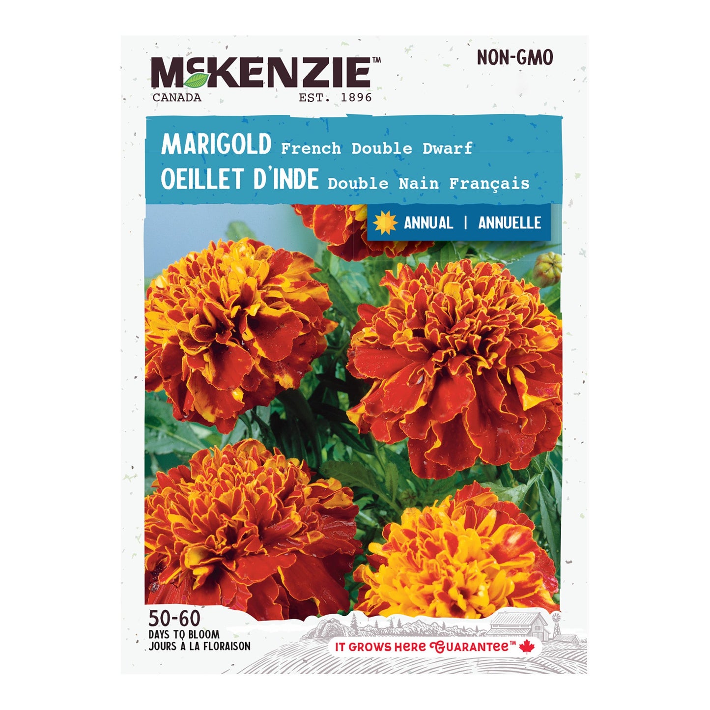 Marigold, French Double Dwarf Seeds Tagetes patula