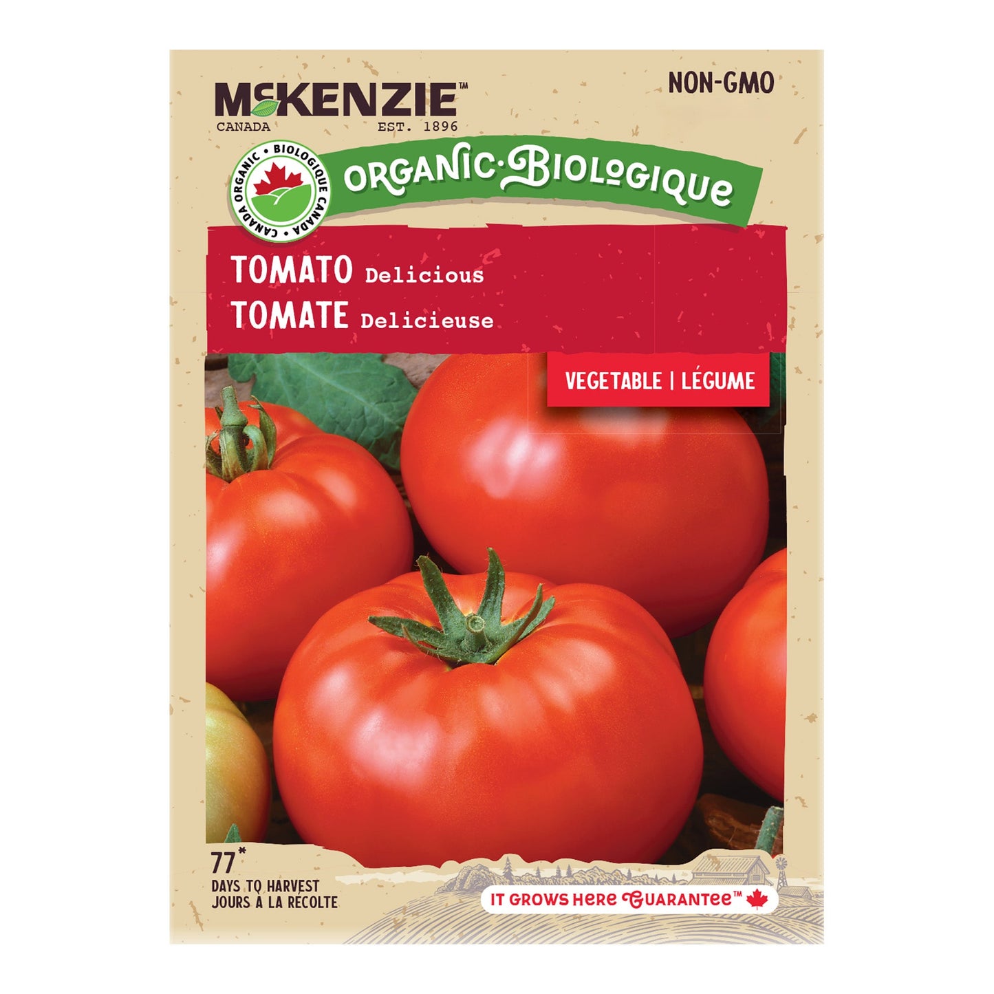 Tomato, Delicious Organic Seeds Lycopersicon esculentum