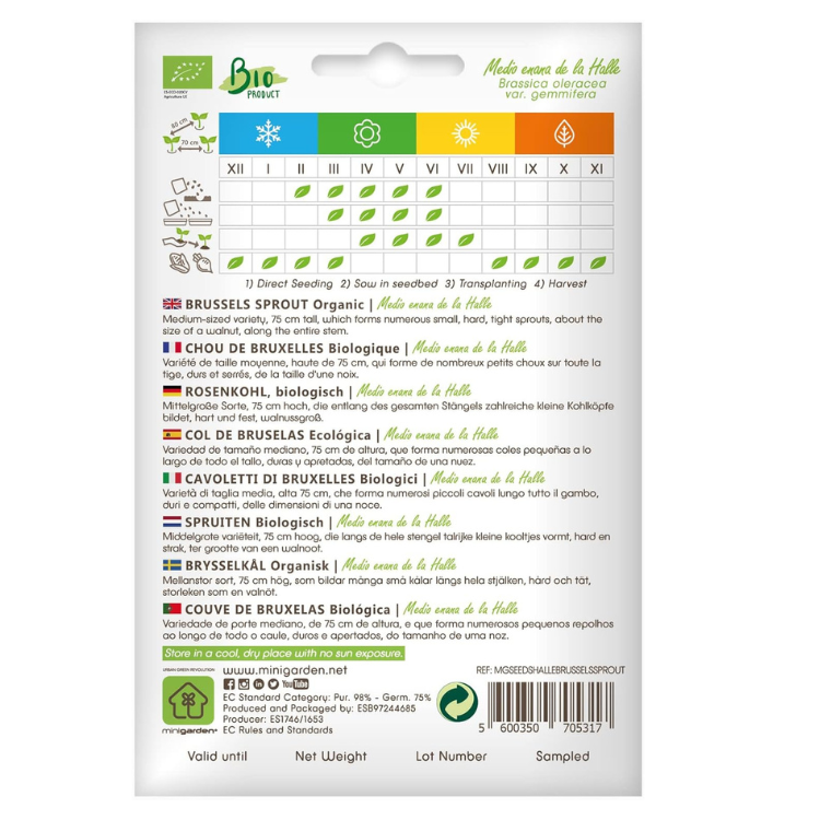Brussels Sprout Medio enana de la Halle Certified Organic Seeds for Planting, , Contains Between 300 and 250 Seeds
