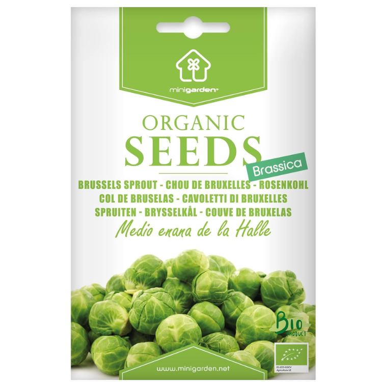 Brussels Sprout Medio enana de la Halle Certified Organic Seeds for Planting, , Contains Between 300 and 250 Seeds