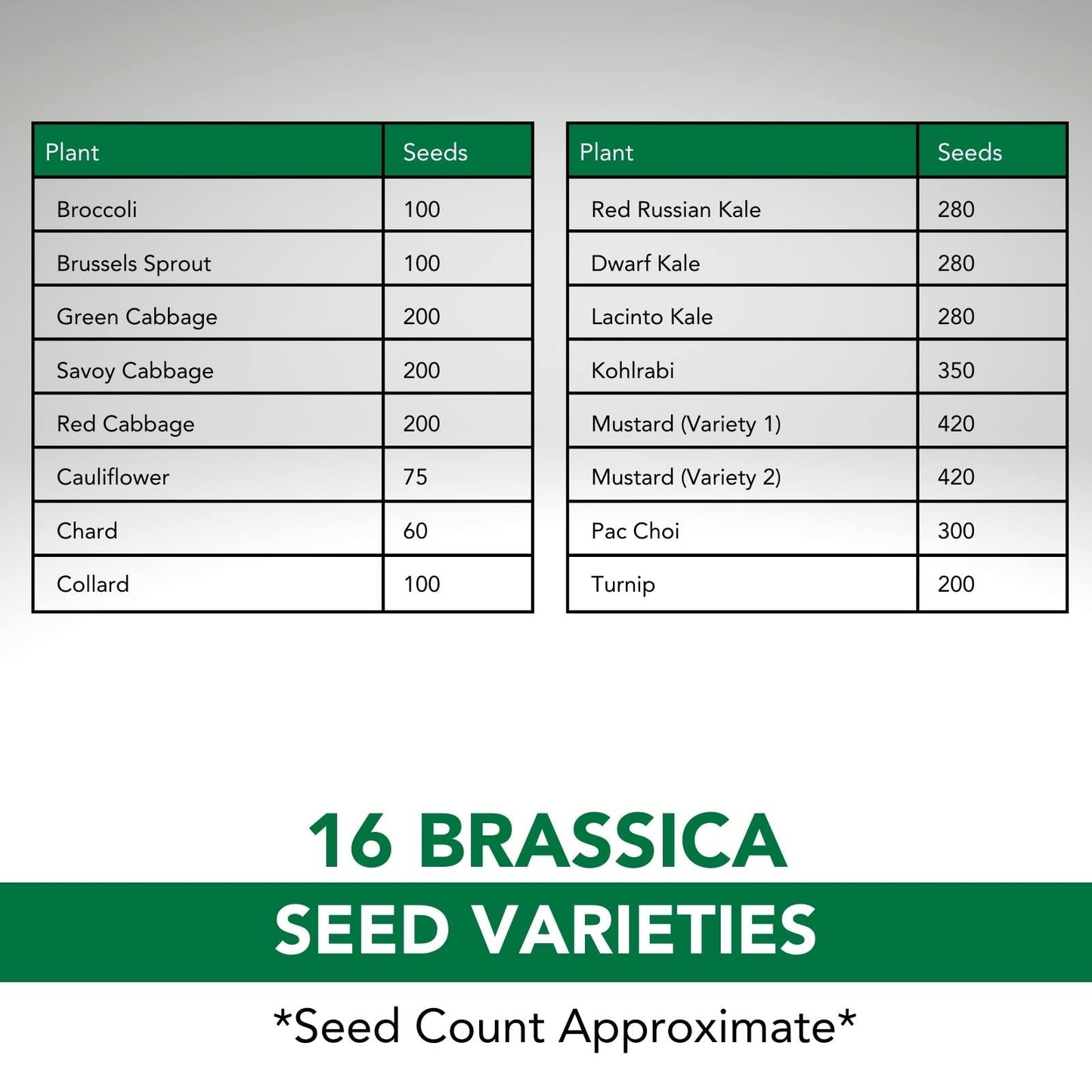 Canadian Wildflower 14 Individually Packed Varieties - 4000+ Seeds - Annual & Perennial Varieties for Planting in Canada - Non-GMO Bird Butterfly Bees
