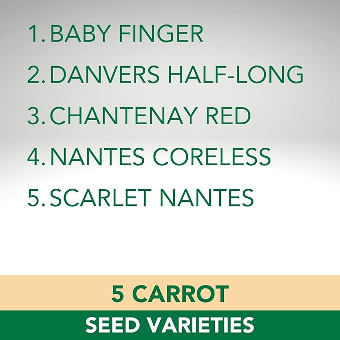Carrot Seeds - 5 Varieties - 5000+ Seeds - Non-GMO - Carrot Seeds for Your Canadian Garden, Baby Finger, Danvers Half-Long , Chantenay Red , Nantes Coreless , Scarlet Nantes