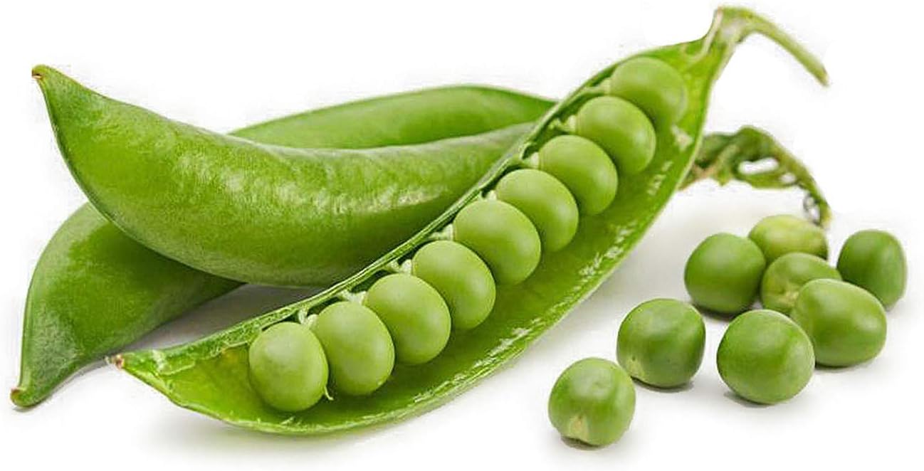 Pea Rondo Certified Organic Seeds for Planting, , Contains Between 60 and 120 Seeds