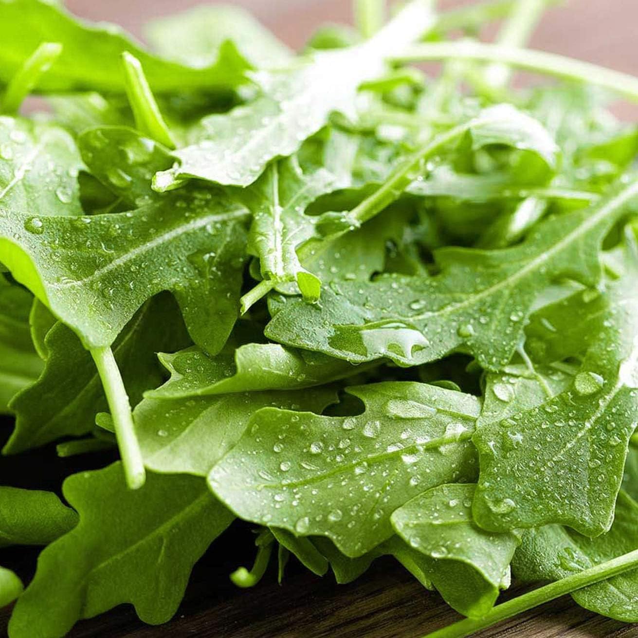 Certified Organic Cultivated Arugula Rocket Seeds – 100% Natural & Non-GMO, High Germination, Open-Pollinated & Reproducible – Perfect for Home Gardens & Farms – 2,000-2,750 Seeds