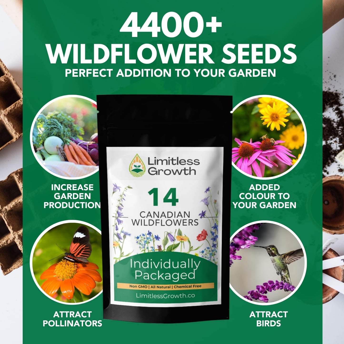 Canadian Wildflower 14 Individually Packed Varieties - 4000+ Seeds - Annual & Perennial Varieties for Planting in Canada - Non-GMO Bird Butterfly Bees