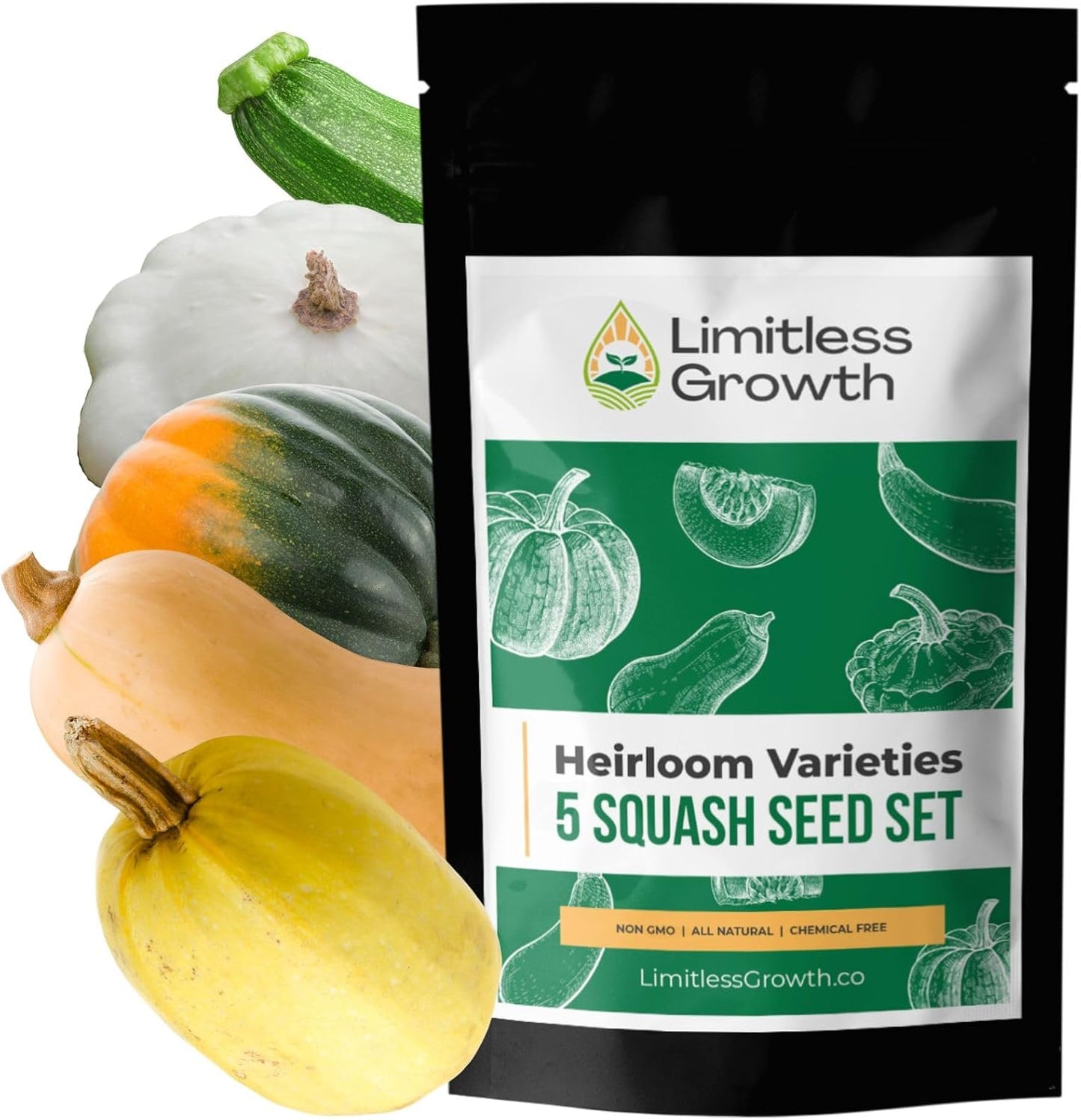 Squash Seed Variety Pack - 5 Heirloom Varieties - Spaghetti Squash, Butternut, Table Queen Acorn, Zucchini, White Scallop - Squash Seeds for Your Canadian Garden