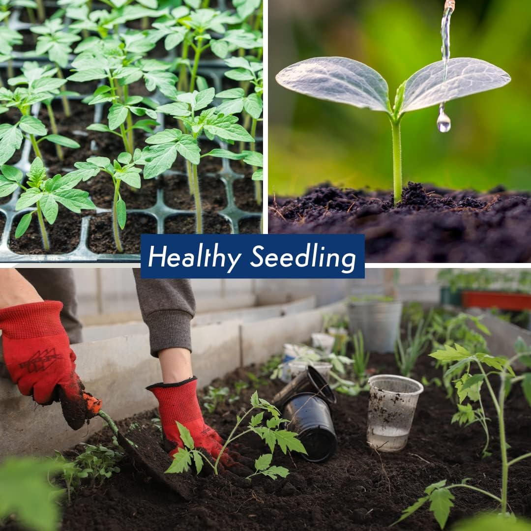 Vegetable & Herb Seed Variety Pack of 35 Heirloom Sachets Approx. 6000 Seeds(100% Non GMO,35 Individually Packed Sachets, 35 Planting Tags)