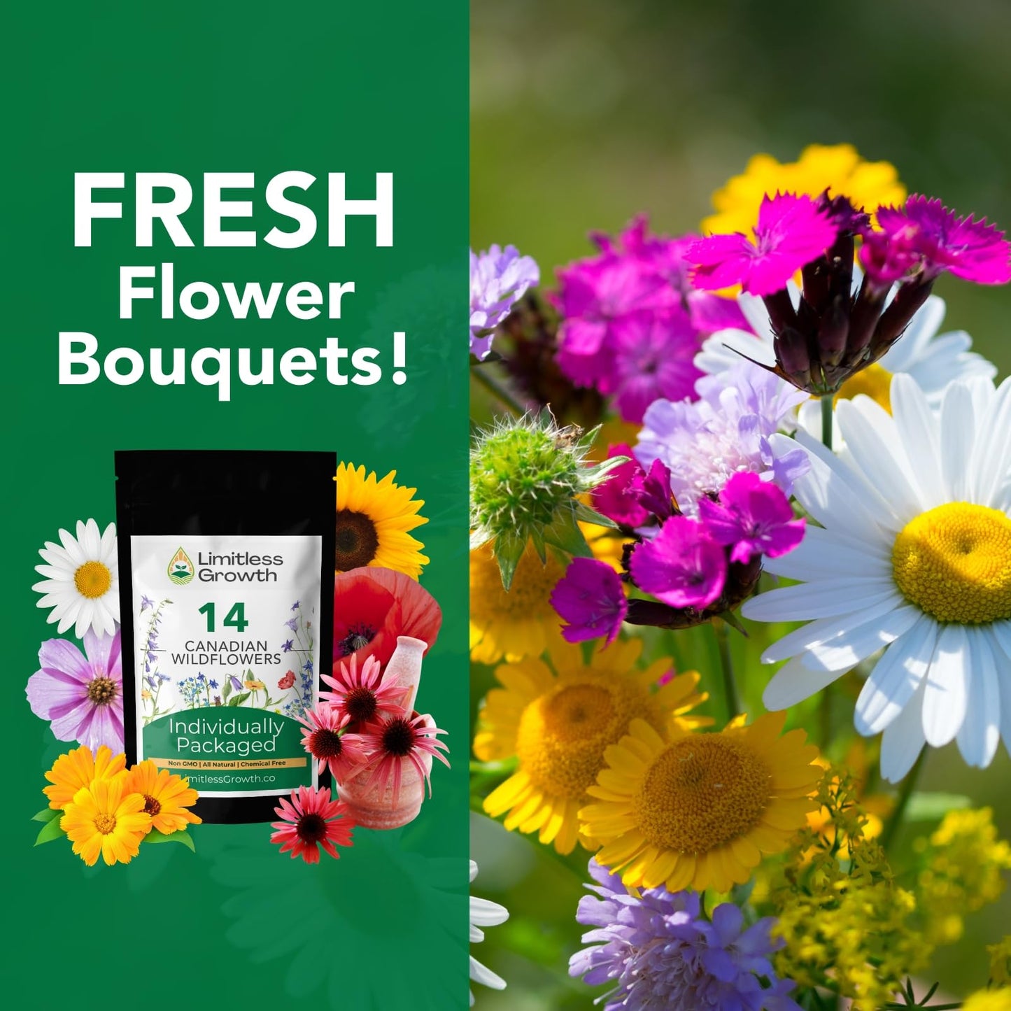 Canadian Wildflower 14 Individually Packed Varieties - 4000+ Seeds - Annual & Perennial Varieties for Planting in Canada - Non-GMO Bird Butterfly Bees