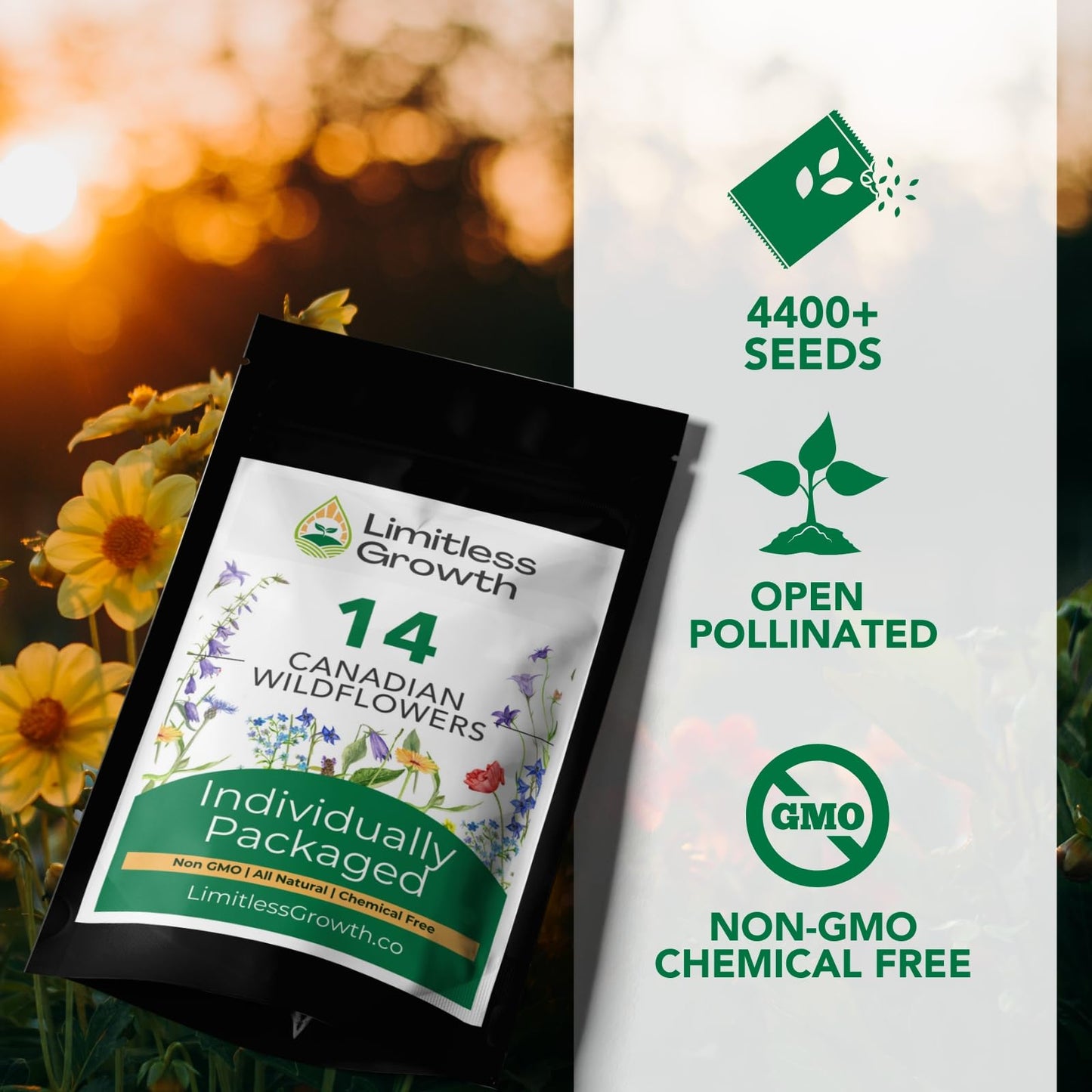 Canadian Wildflower 14 Individually Packed Varieties - 4000+ Seeds - Annual & Perennial Varieties for Planting in Canada - Non-GMO Bird Butterfly Bees