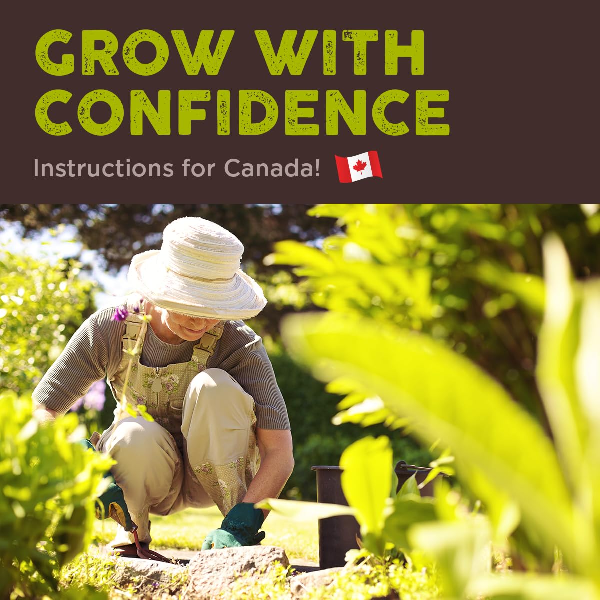 Heirloom Tomato Seed & Hot Pepper 6 Variety Pack - Roma, Red Cherry, Scotia, Ghost Pepper (Bhut Jolokia), Habanero, Jalapeno Seeds