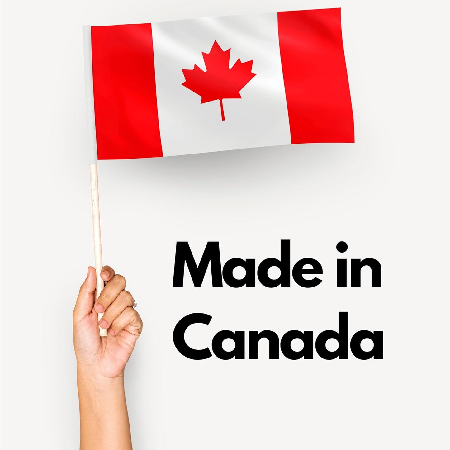 Catnip Seeds 6g – Product of Canada| 100% Natural, Easy-to-Grow Seeds for Happy Cats and Herbal Gardens by ELO’S Garden