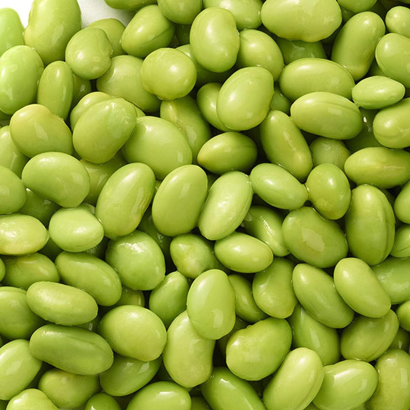 Organic Soy Bean Sprouts Seeds– 100% Natural & Non-GMO, High Germination, Open-Pollinated & Reproducible – Ideal for Home Gardens & Farms – 32-48 Seeds