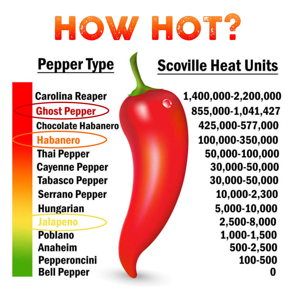 Heirloom Tomato Seed & Hot Pepper 6 Variety Pack - Roma, Red Cherry, Scotia, Ghost Pepper (Bhut Jolokia), Habanero, Jalapeno Seeds