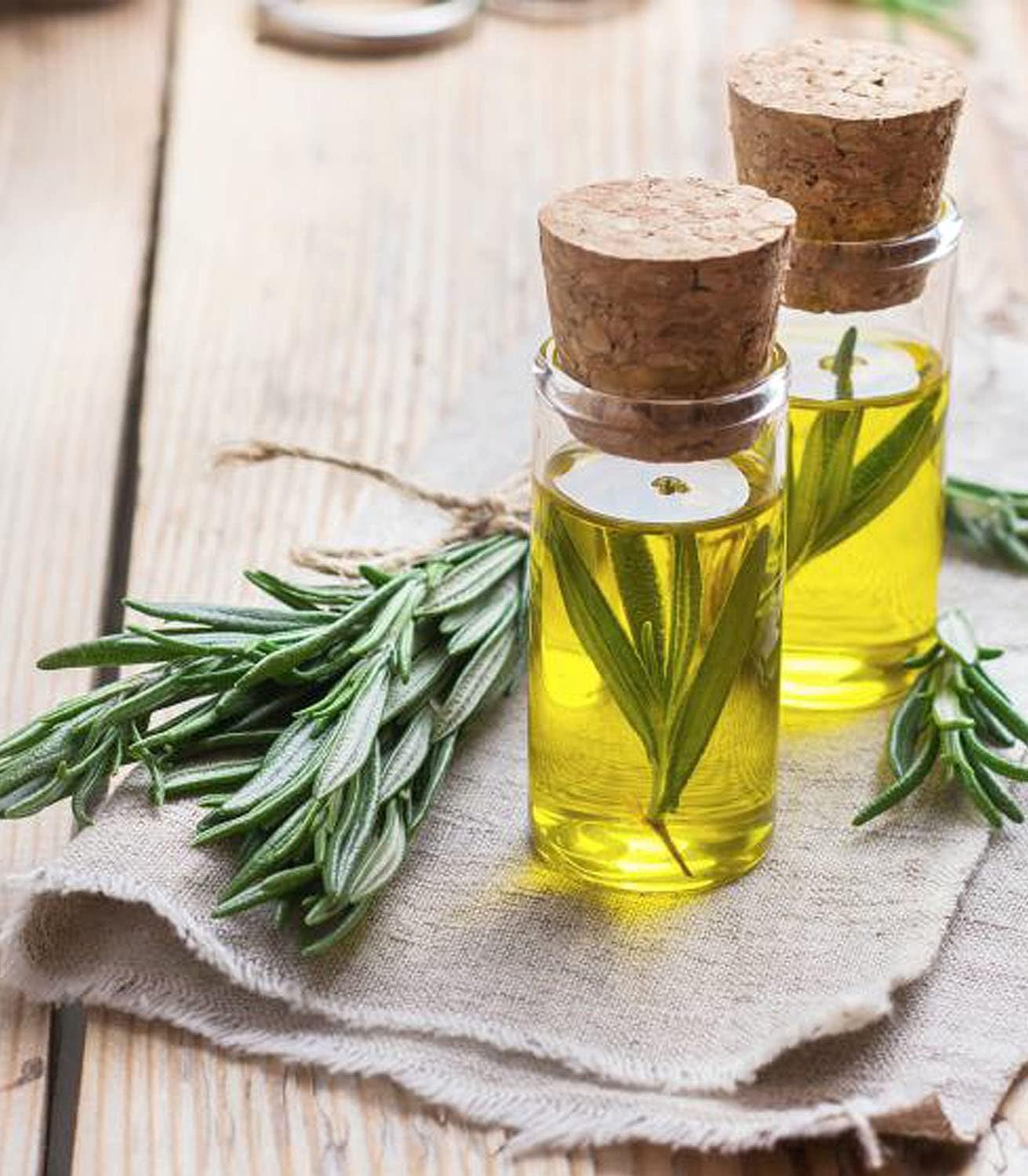 Organic Rosemary seed – 100% Natural & Non-GMO, High Germination, Open-Pollinated & Reproducible – Ideal for Home Gardens & Farms – 100-160 Seeds