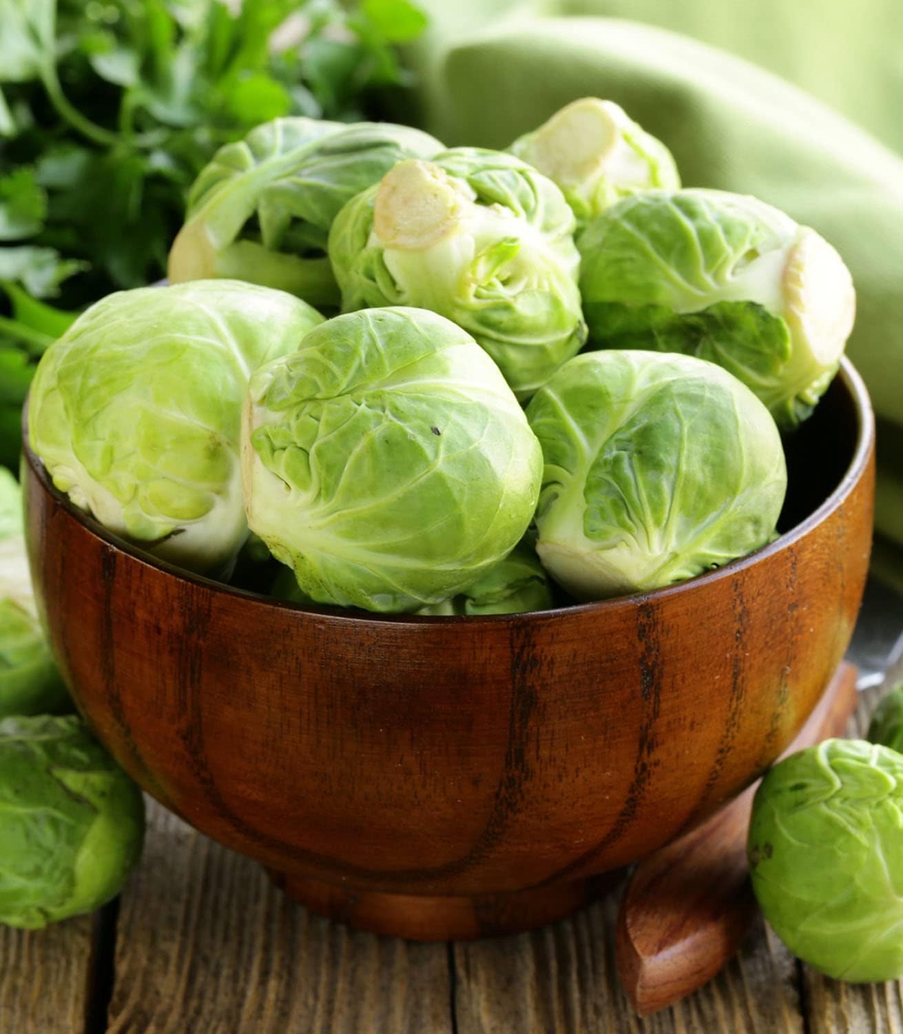 Brussels Sprout Medio enana de la Halle Certified Organic Seeds for Planting, , Contains Between 300 and 250 Seeds