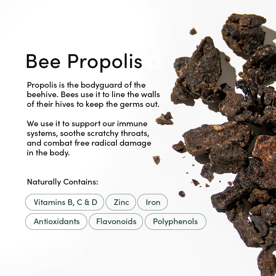 Bee Propolis Throat Spray by Beekeeper’s Naturals – 85mg Natural Immune Support, Sore Throat Relief & Antioxidant Protection – Keto, Paleo, Gluten-Free (1.06 oz)