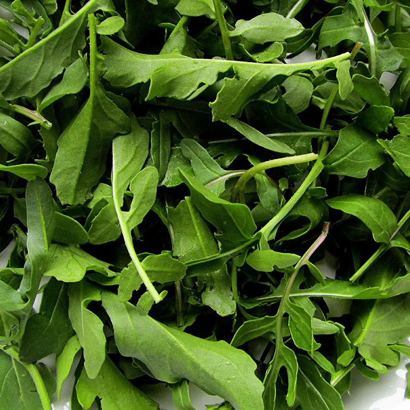 Certified Organic Cultivated Arugula Rocket Seeds – 100% Natural & Non-GMO, High Germination, Open-Pollinated & Reproducible – Perfect for Home Gardens & Farms – 2,000-2,750 Seeds