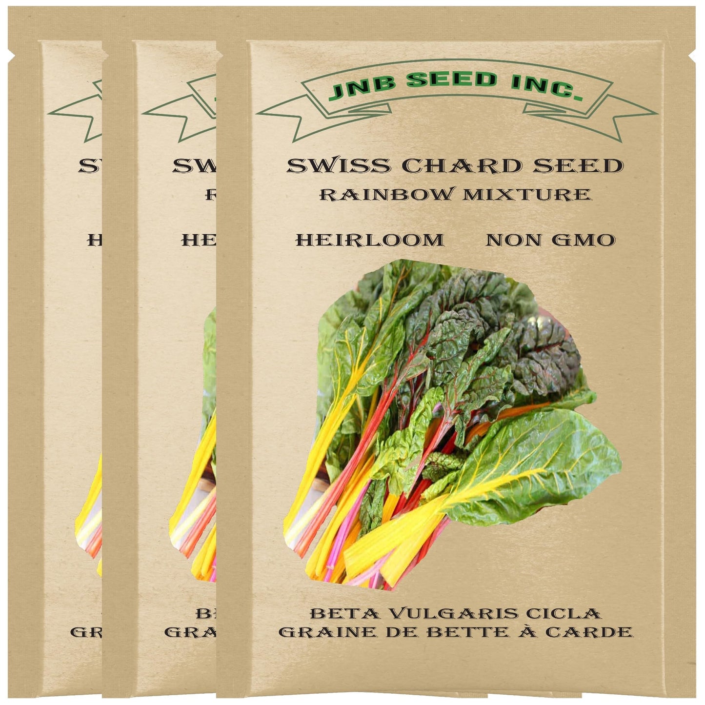 Broccoli Seeds for Planting Waltham 29 (2 Packs Approx. 1200 Seeds-20 Grams) Made in Canada Heirloom Microgreens Heirloom Salad Garnishes Vegetable Gardening