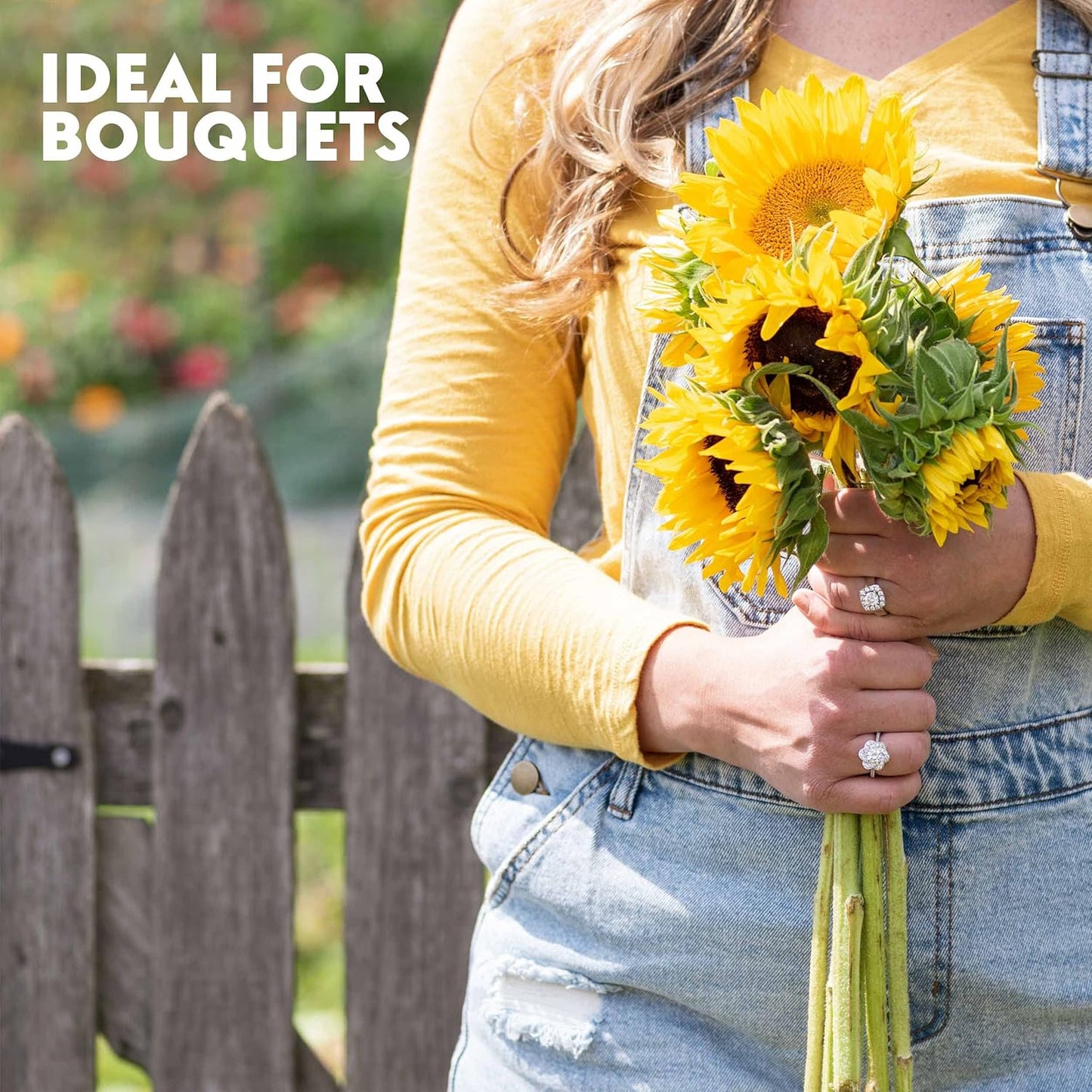 Mixed Sunflower Seeds for Planting Canada - 5 Varieties of Flower Seeds for Your Flower Garden, Flower Seeds for Cut Flowers Pollinator Butterfly and Bird Friendly