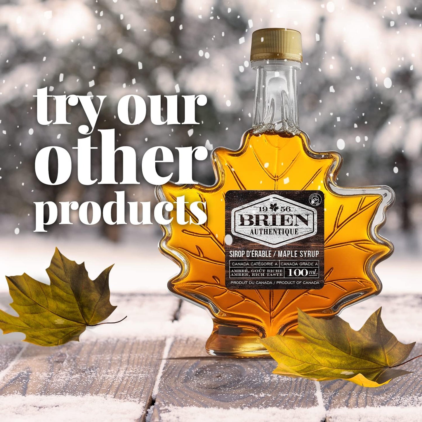 Brien Maple Soft Candy | Maple Sugar Leaf Candy | Vegan Contains No Milk | Made With Grade A Pure Maple Syrup (12 Pieces, Pack of 1)