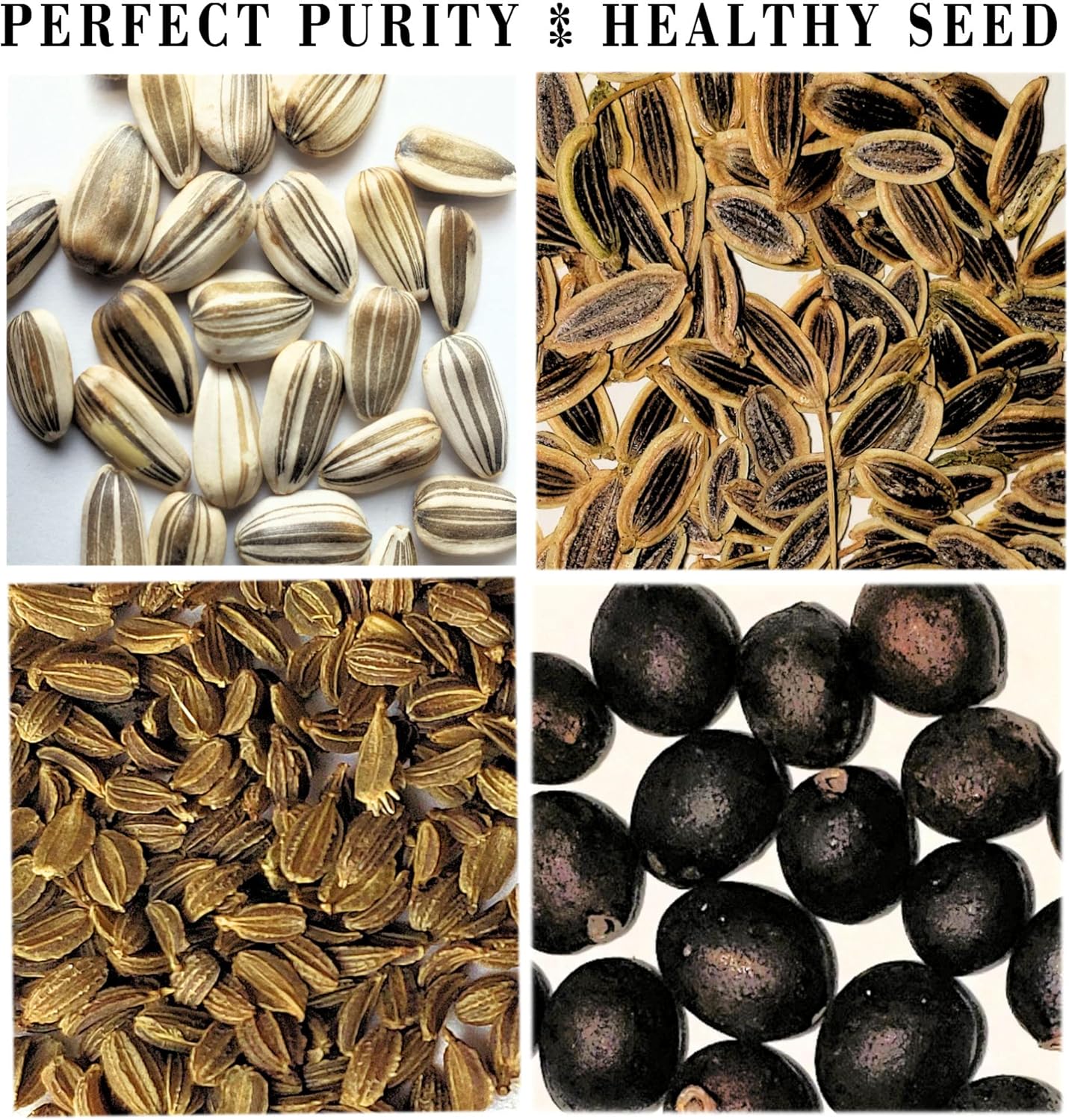 Vegetable & Herb Seed Variety Pack of 35 Heirloom Sachets Approx. 6000 Seeds(100% Non GMO,35 Individually Packed Sachets, 35 Planting Tags)