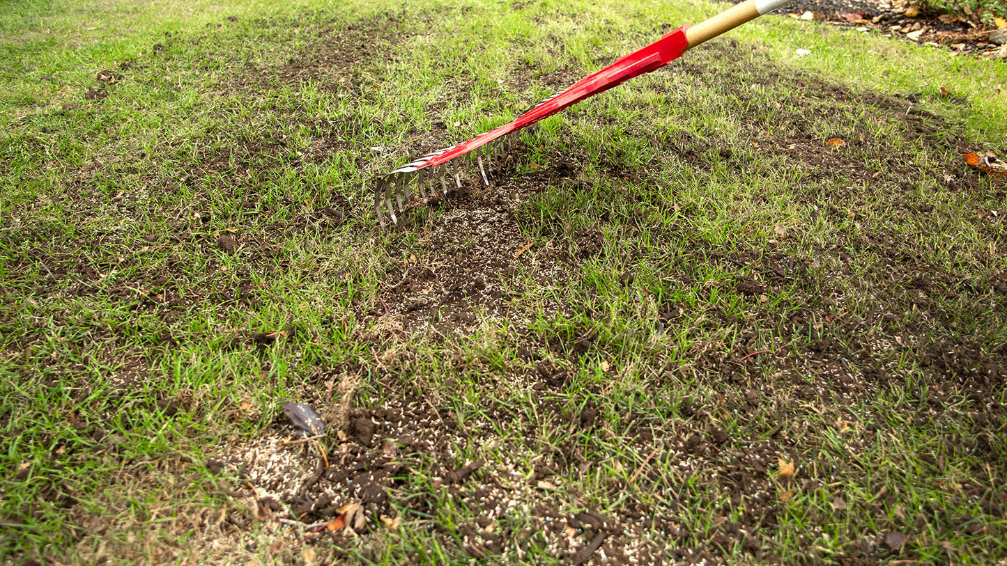 Scotts Turf Builder Quick + Thick Grass Seed (Dense Shade) 1.2kg