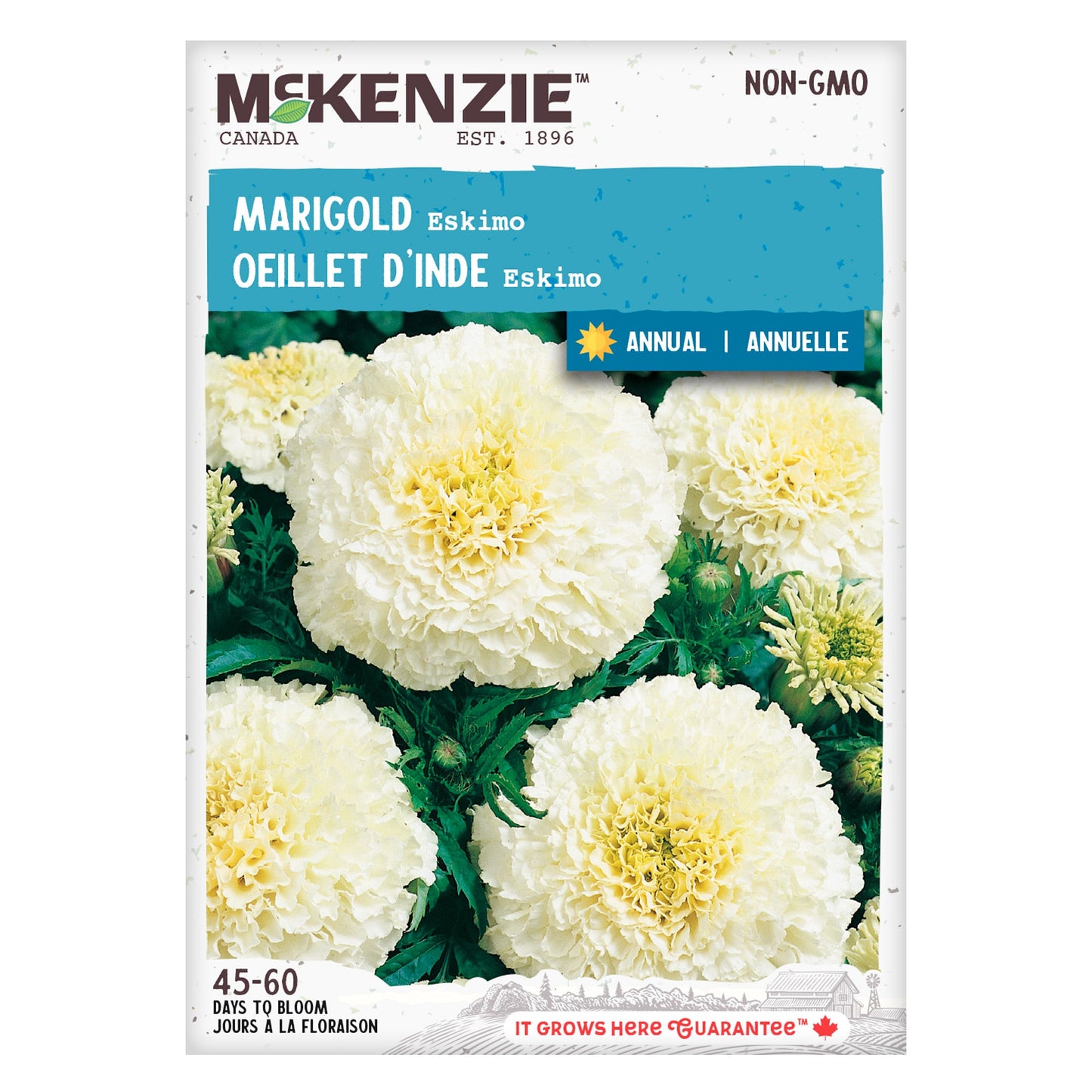 Marigold, Eskimo Seeds Tagetes erecta , African Marigold