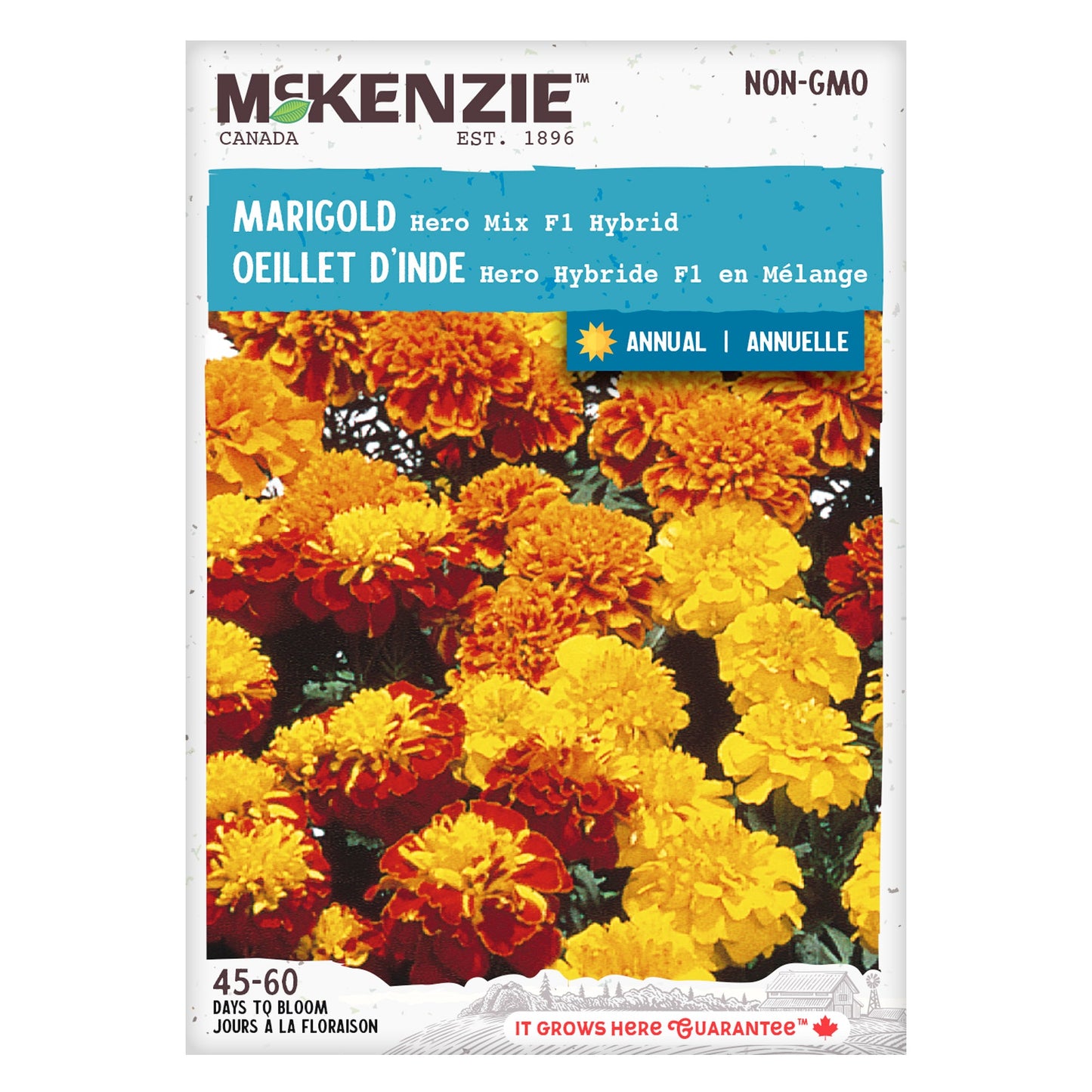 Marigold, Hero Mix F1 Hybrid Seeds Tagetes patula