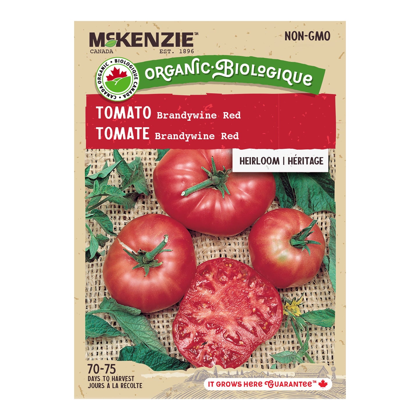 Tomato, Brandywine Organic Seeds Lycopersicon esculentum