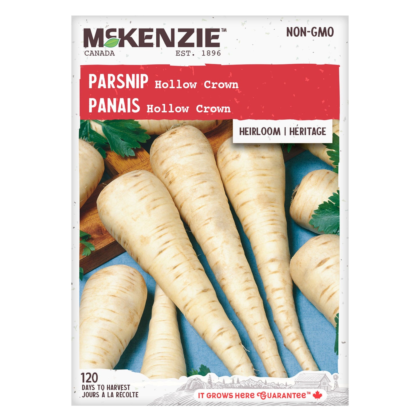 Parsnip, Hollow Crown Seeds Pastinaca sativa