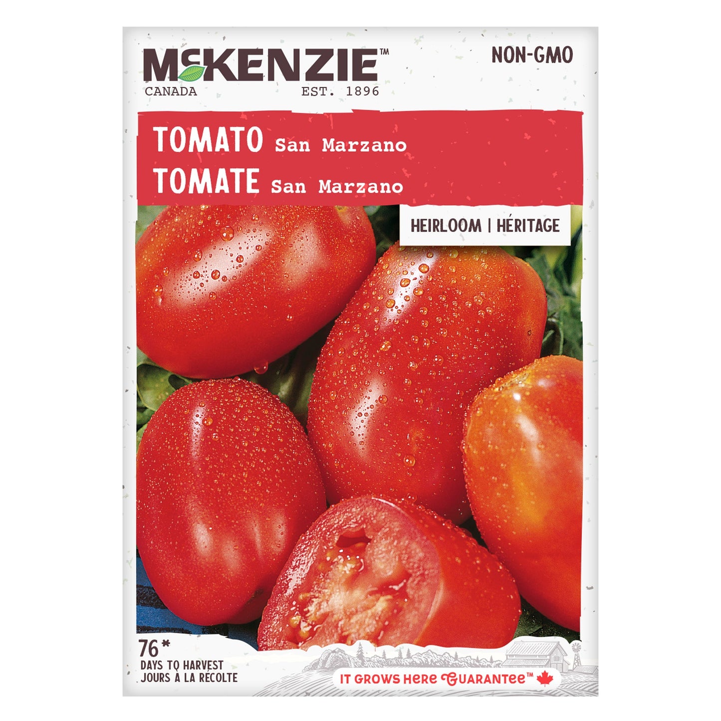 Tomato, San Marzano Seeds Lycopersicon esculentum
