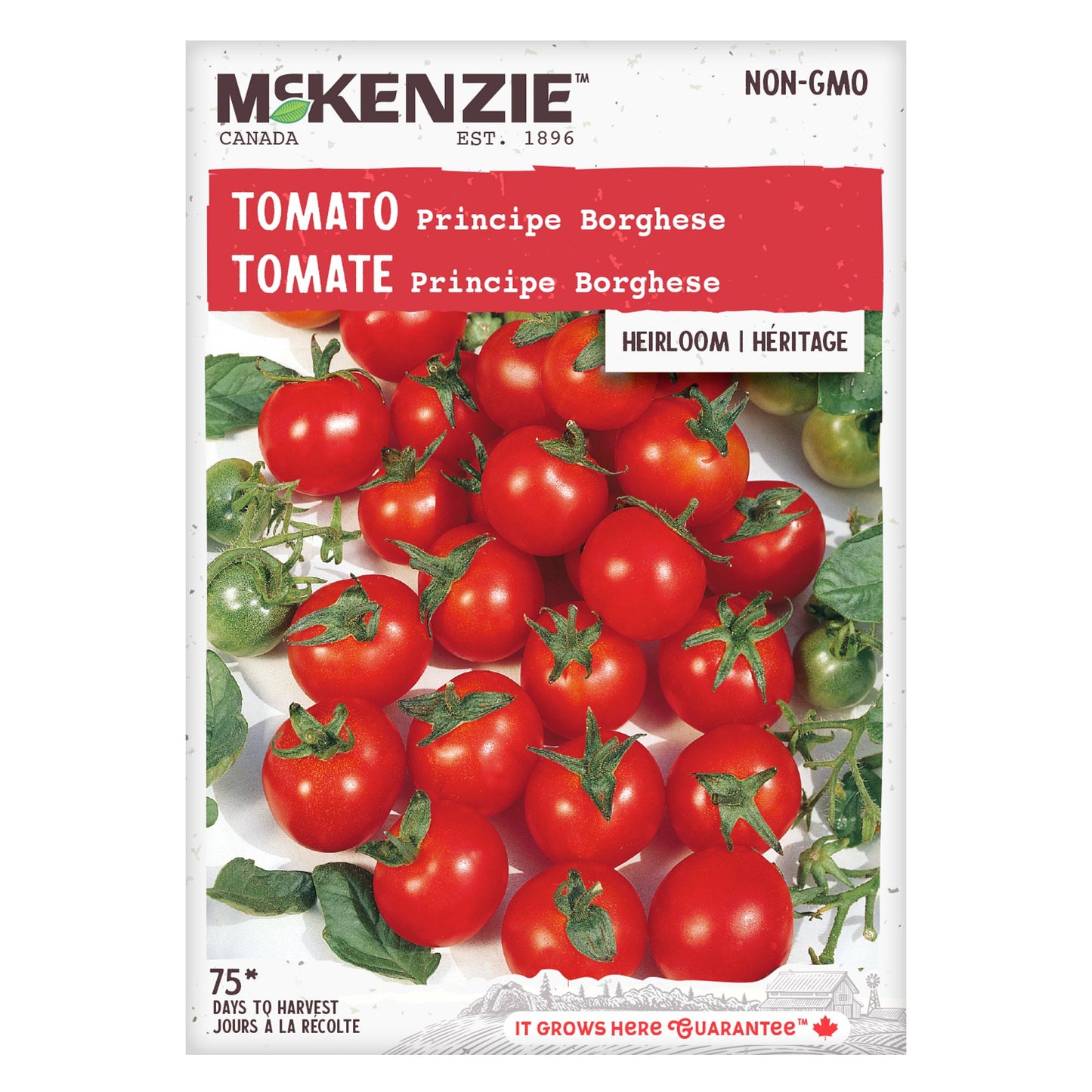 Tomato, Principe Borghese Seeds Lycopersicon esculentum