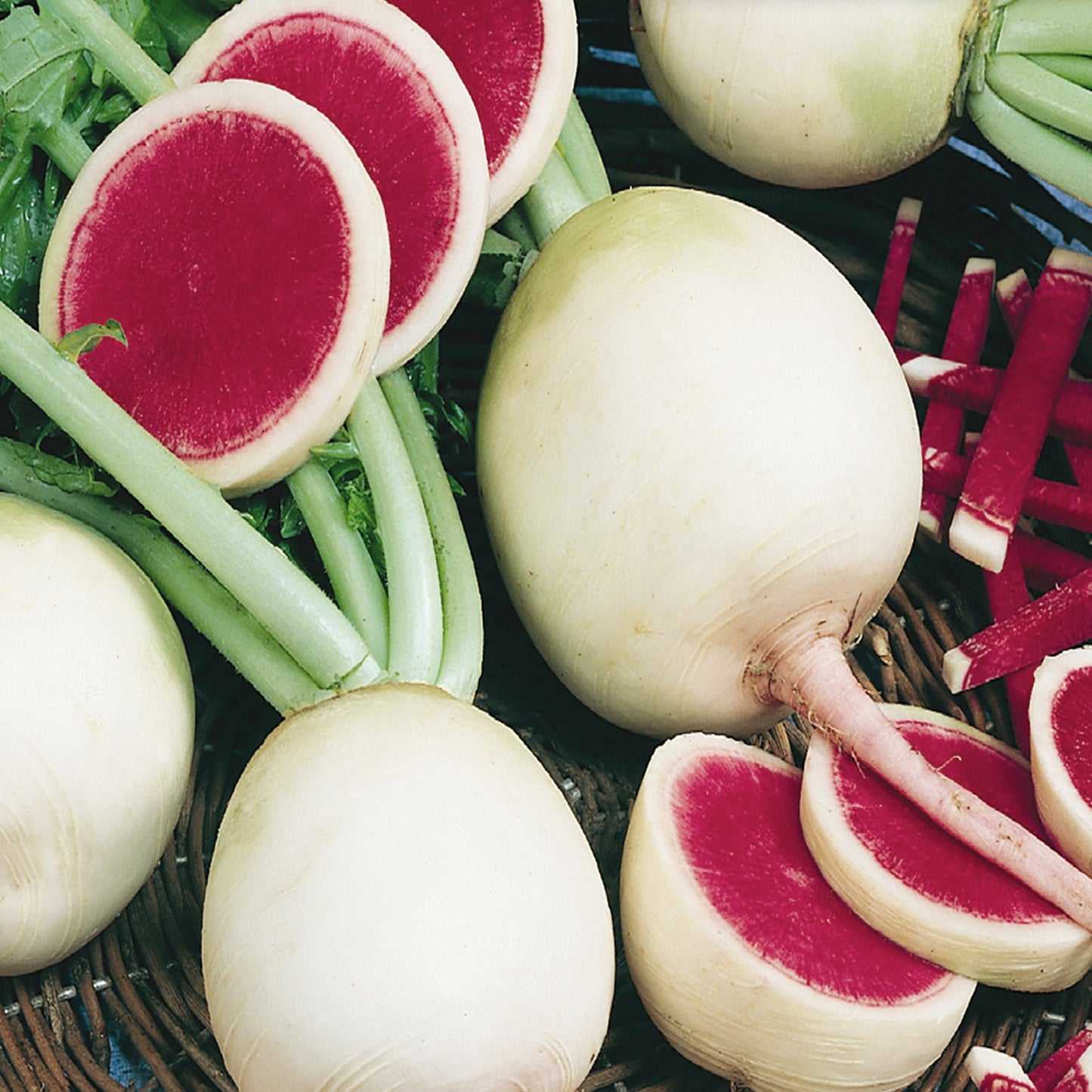 Radish, Watermelon Seeds Raphanus sativus