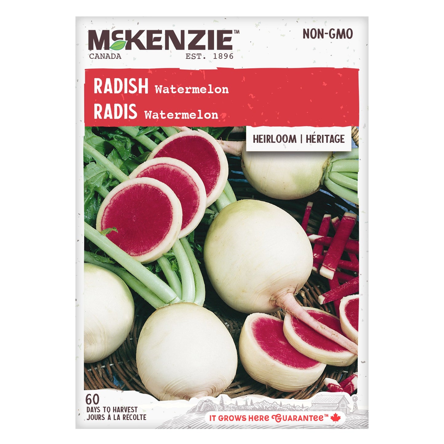 Radish, Watermelon Seeds Raphanus sativus
