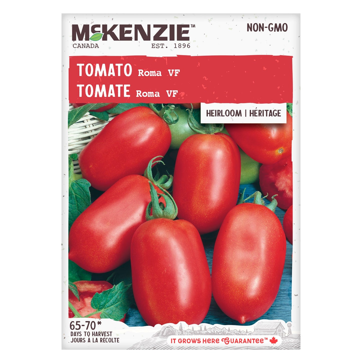 Tomato, Roma VF Seeds Lycopersicon esculentum
