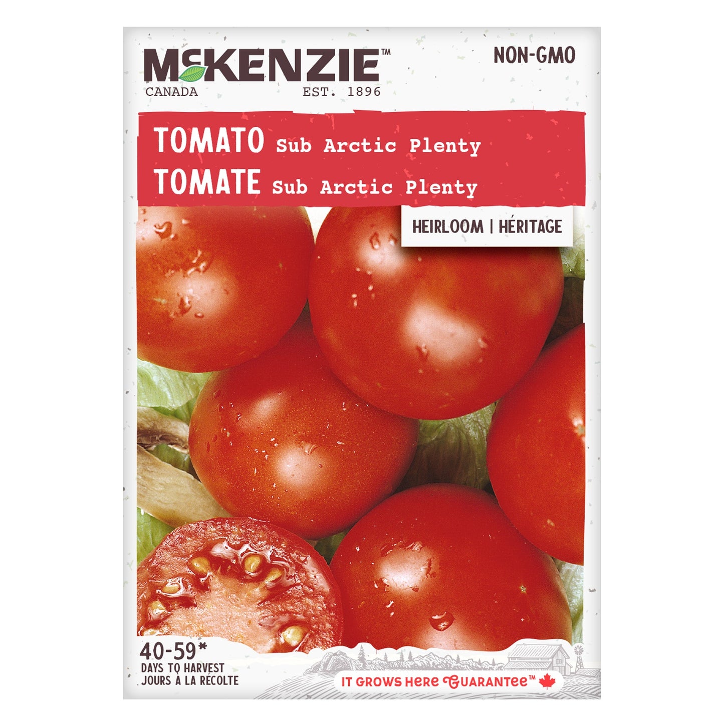 Tomato, Sub Arctic Plenty Seeds Lycopersicon esculentum