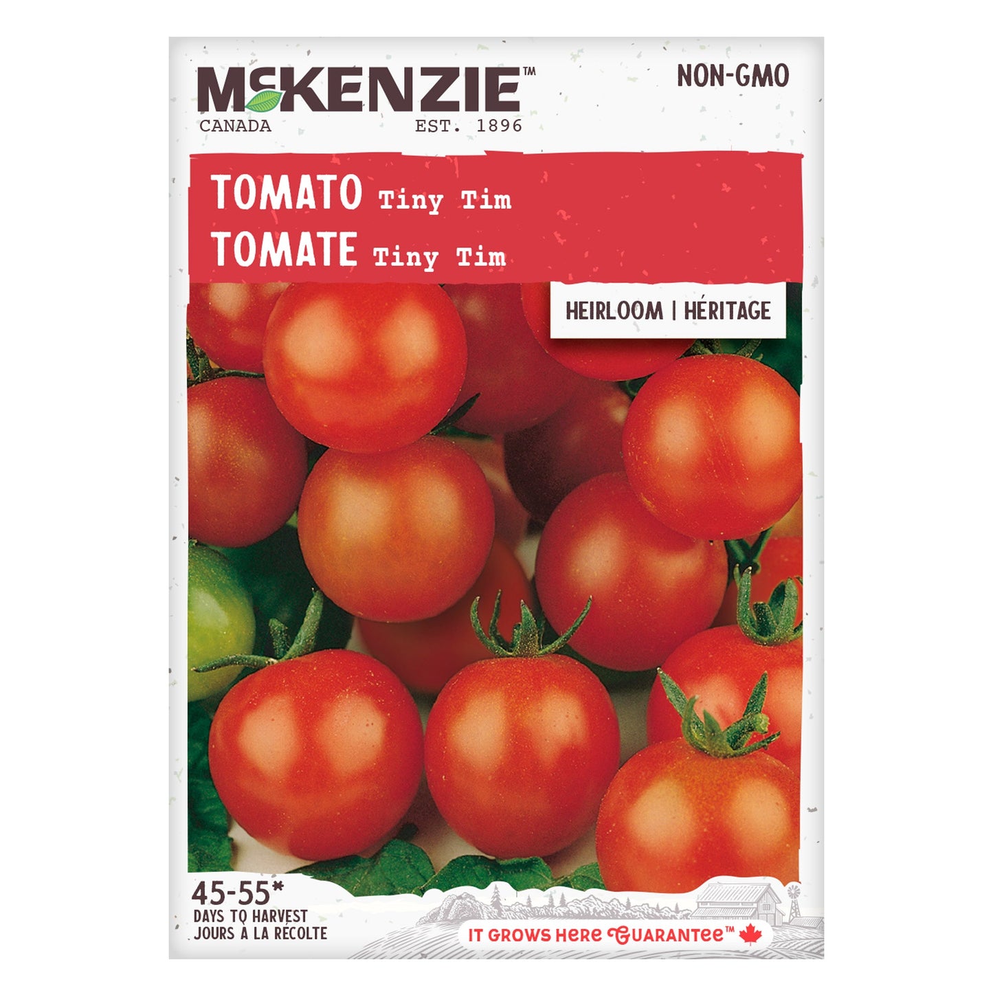 Tomato, Tiny Tim Seeds Lycopersicon esculentum