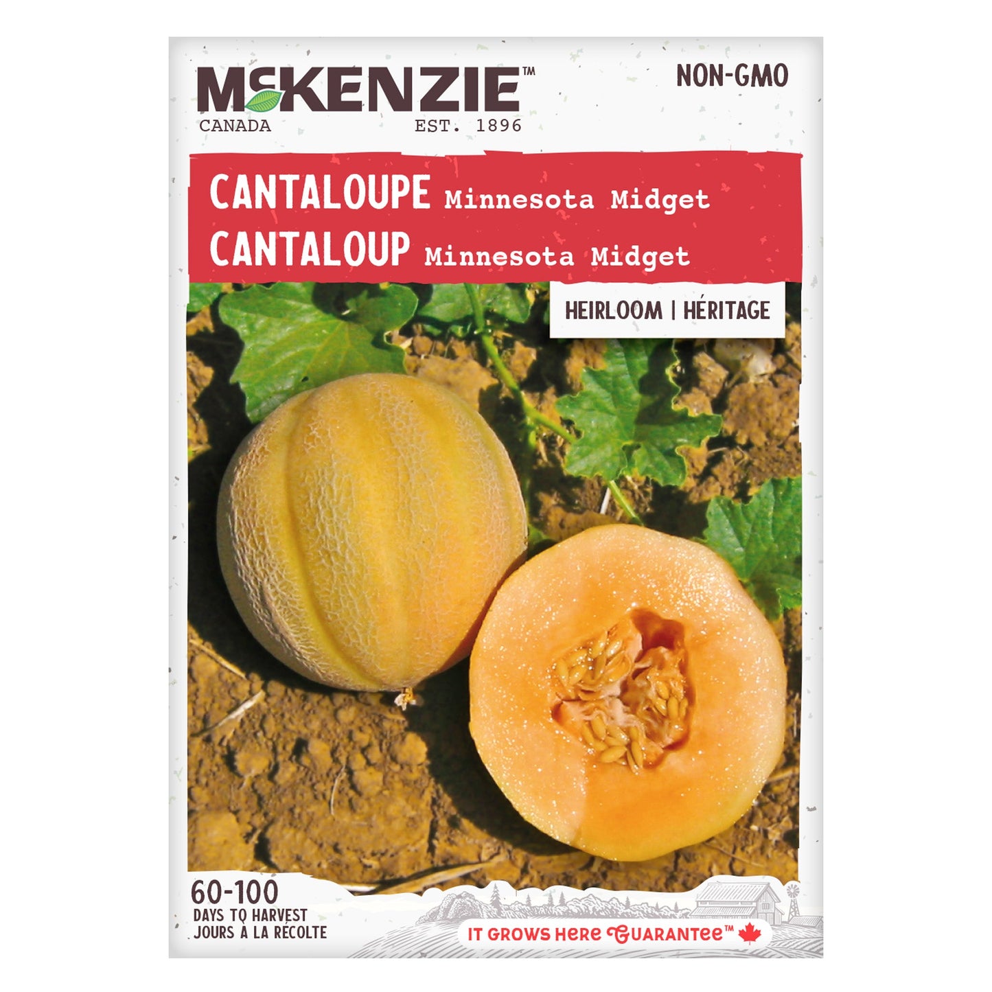 Cantaloupe, Minnesota Midget Seeds Cucumis melo