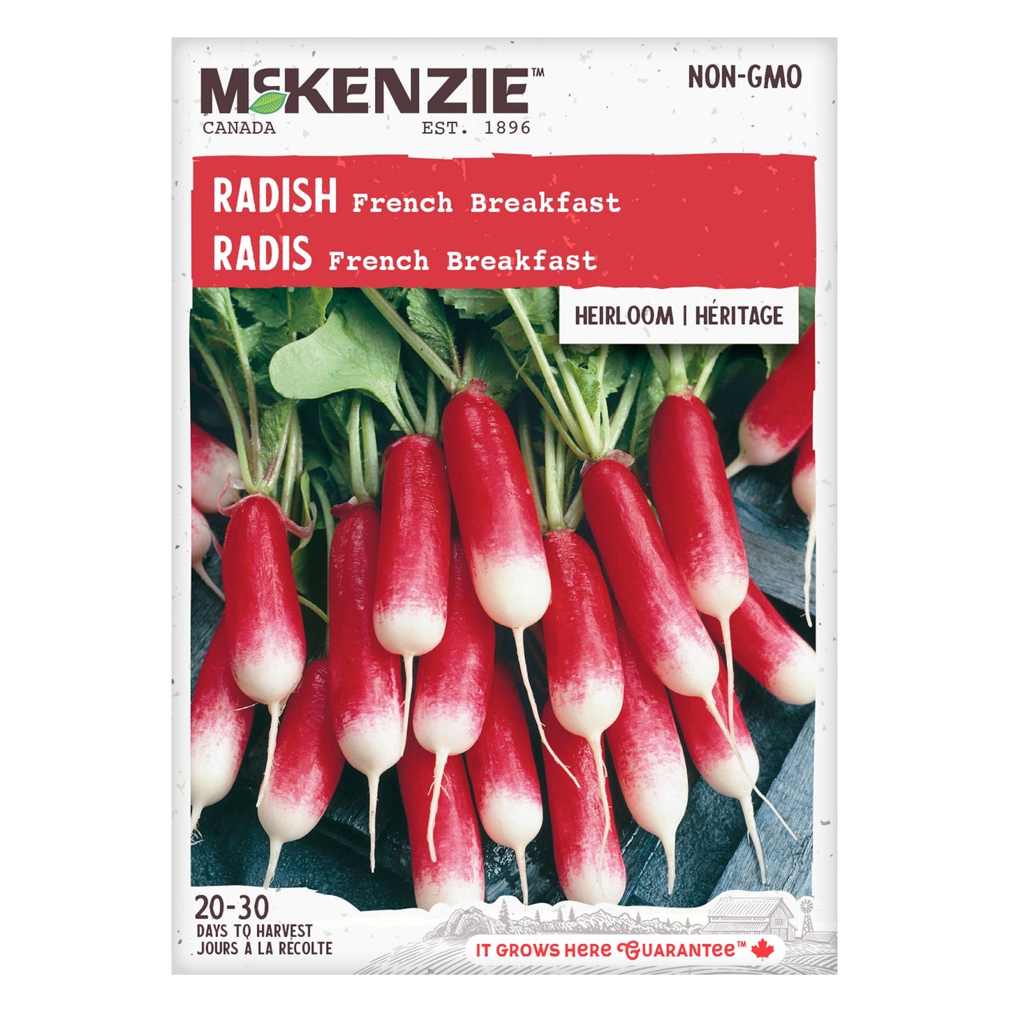 Radish, French Breakfast Seeds Raphanus sativus