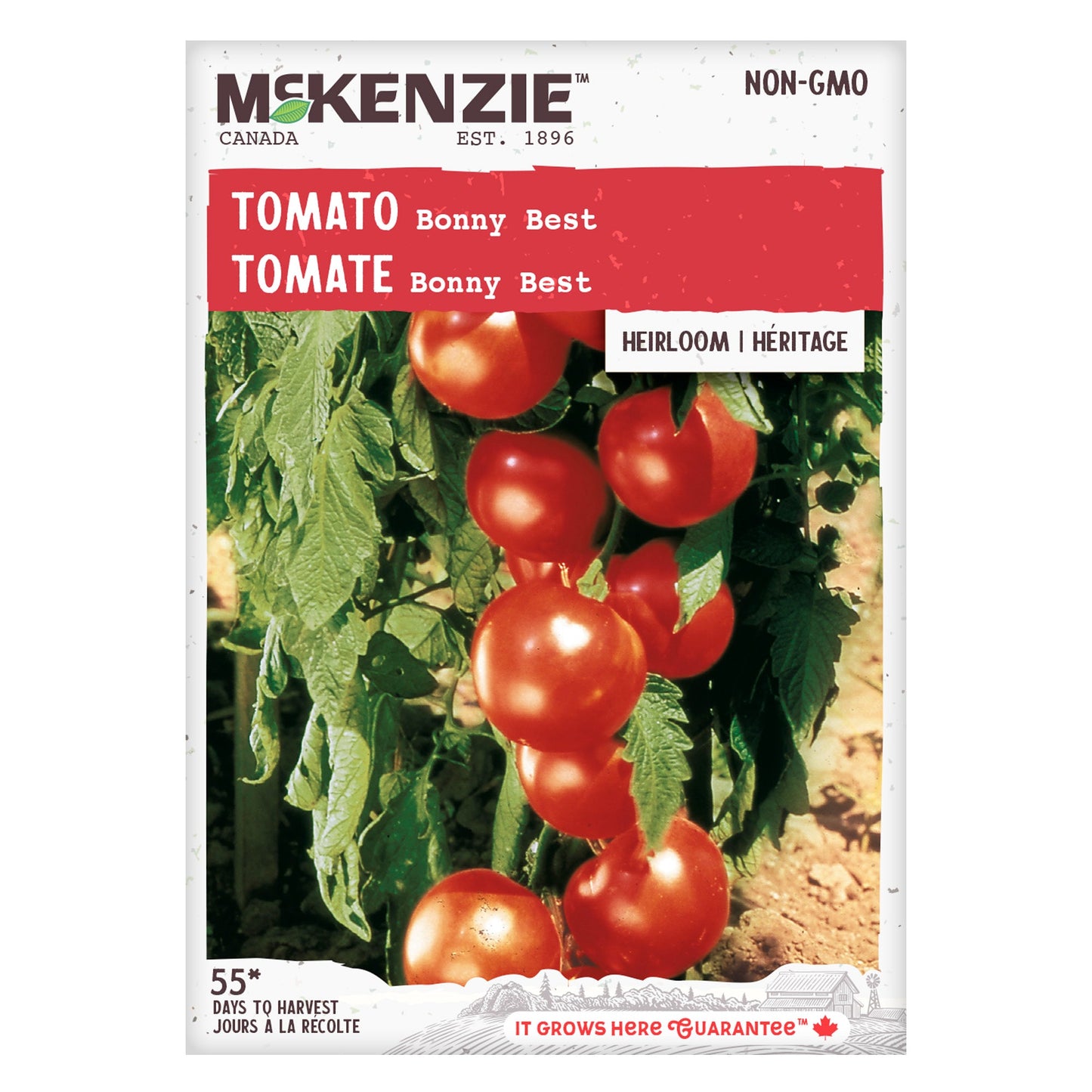 Tomato, Bonny Best Seeds Lycopersicon esculentum