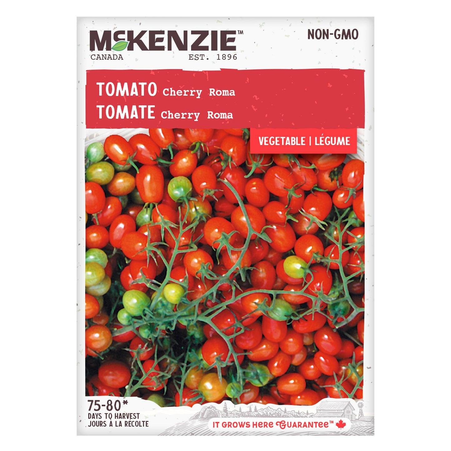 Tomato, Cherry Roma Seeds Lycopersicon esculentum