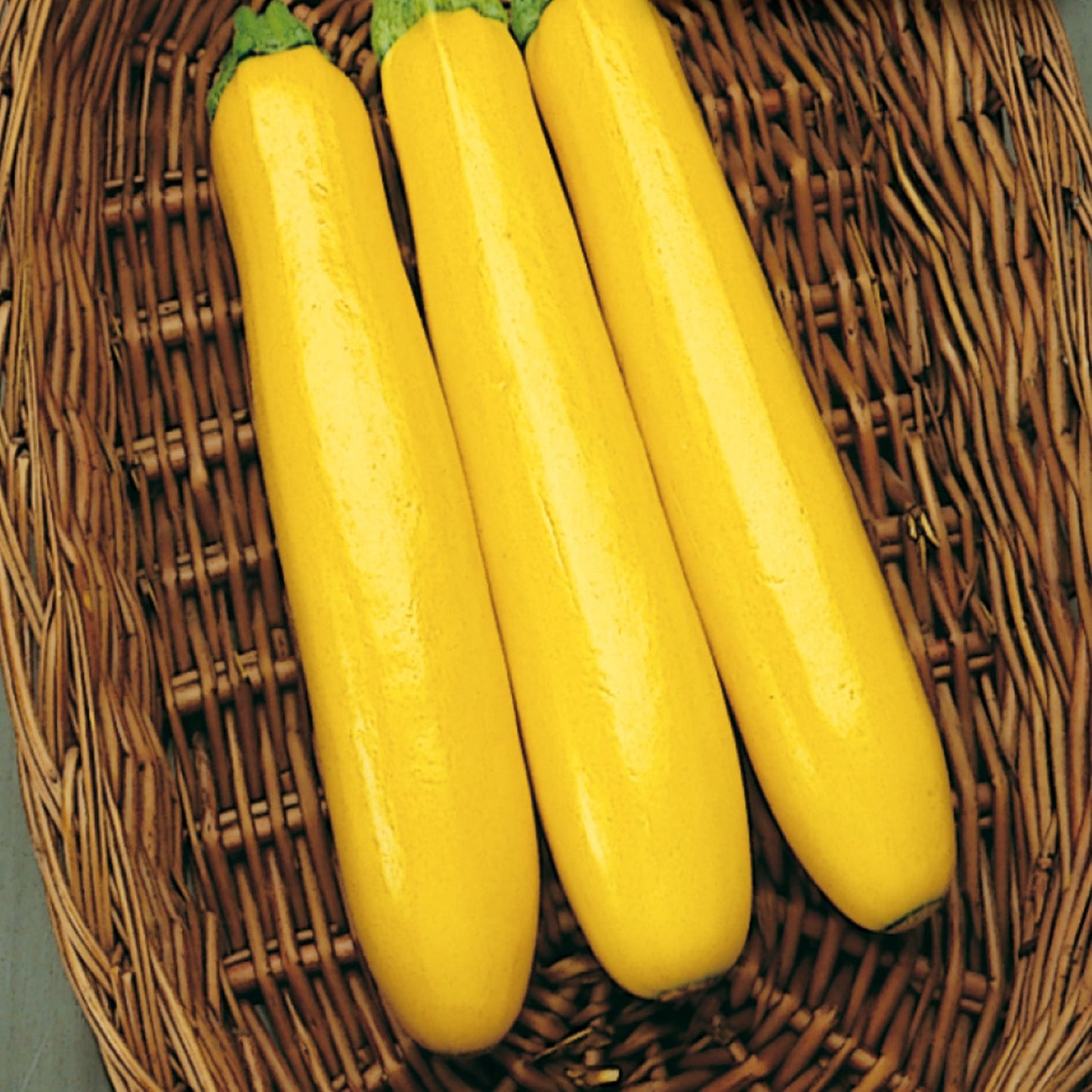 Zucchini, Gold Rush Seeds Cucurbita pepo