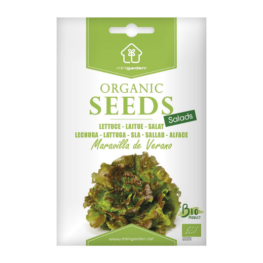 Certified Organic Lettuce Seeds  – 100% Natural & Non-GMO, High Germination, Open-Pollinated & Reproducible – Perfect for Home Gardens & Farms – 1,500-2,100 Seeds