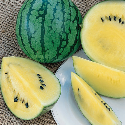 Watermelon, Golden Honey Organic Seeds