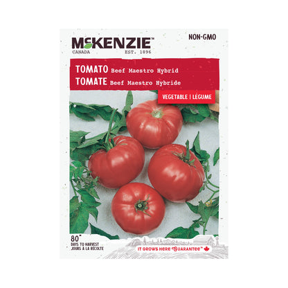 Tomato, Beef Maestro Hybrid Seeds Solanum Lycopersicum