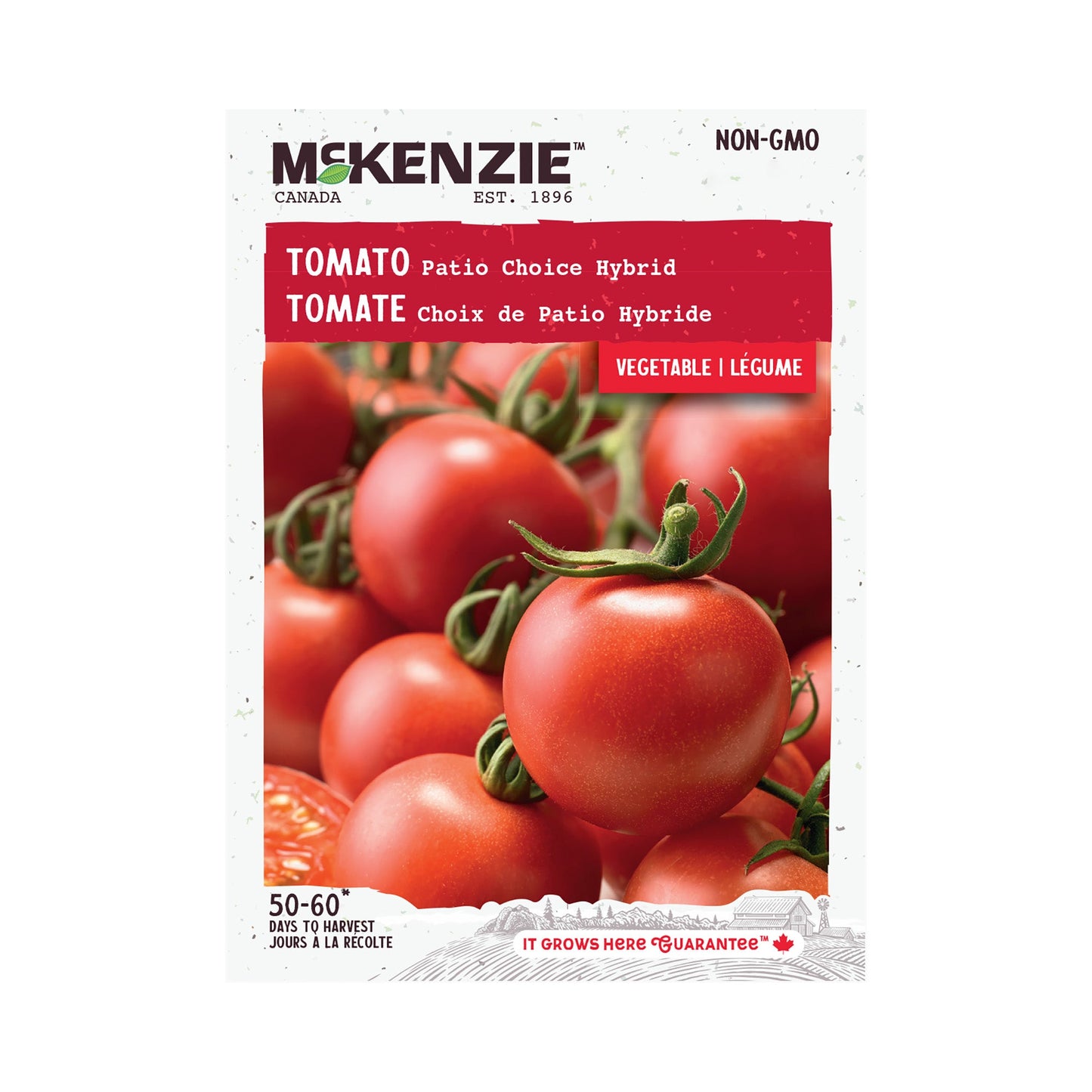 Tomato, Patio Choice Hybrid Seeds Lycopersicon esculentum