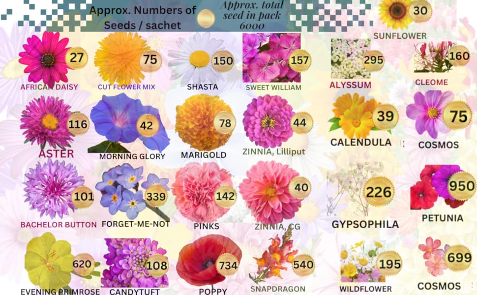 25 Packs Sachets Canadian Wild Flowers Varieties Heirloom Seeds Packets Seeds with 25 Planting Labels.