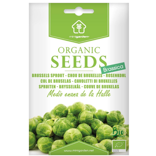 Brussels Sprout Medio enana de la Halle Certified Organic Seeds for Planting, , Contains Between 300 and 250 Seeds
