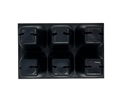 Seedling Starter Trays, 144 Cells (24 Trays - 6 Cells Per Tray) + THCity Stakes